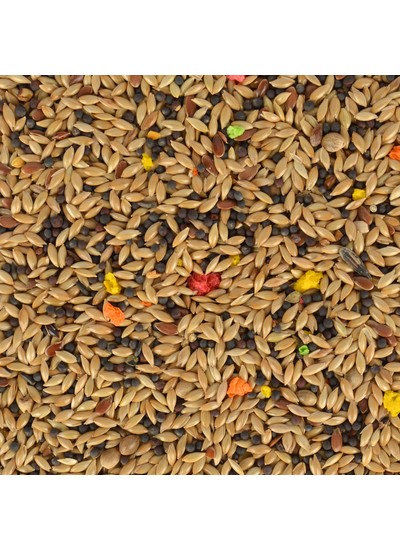 Jungle Kanarya Yemi 400 gr Jungle Kanarya Yemi 400 gr