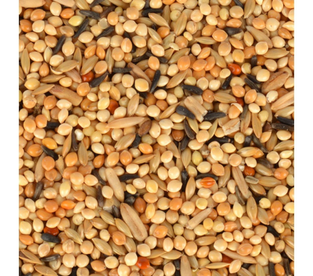 Quik Junior Yavru Muhabbet Yemi 400gr