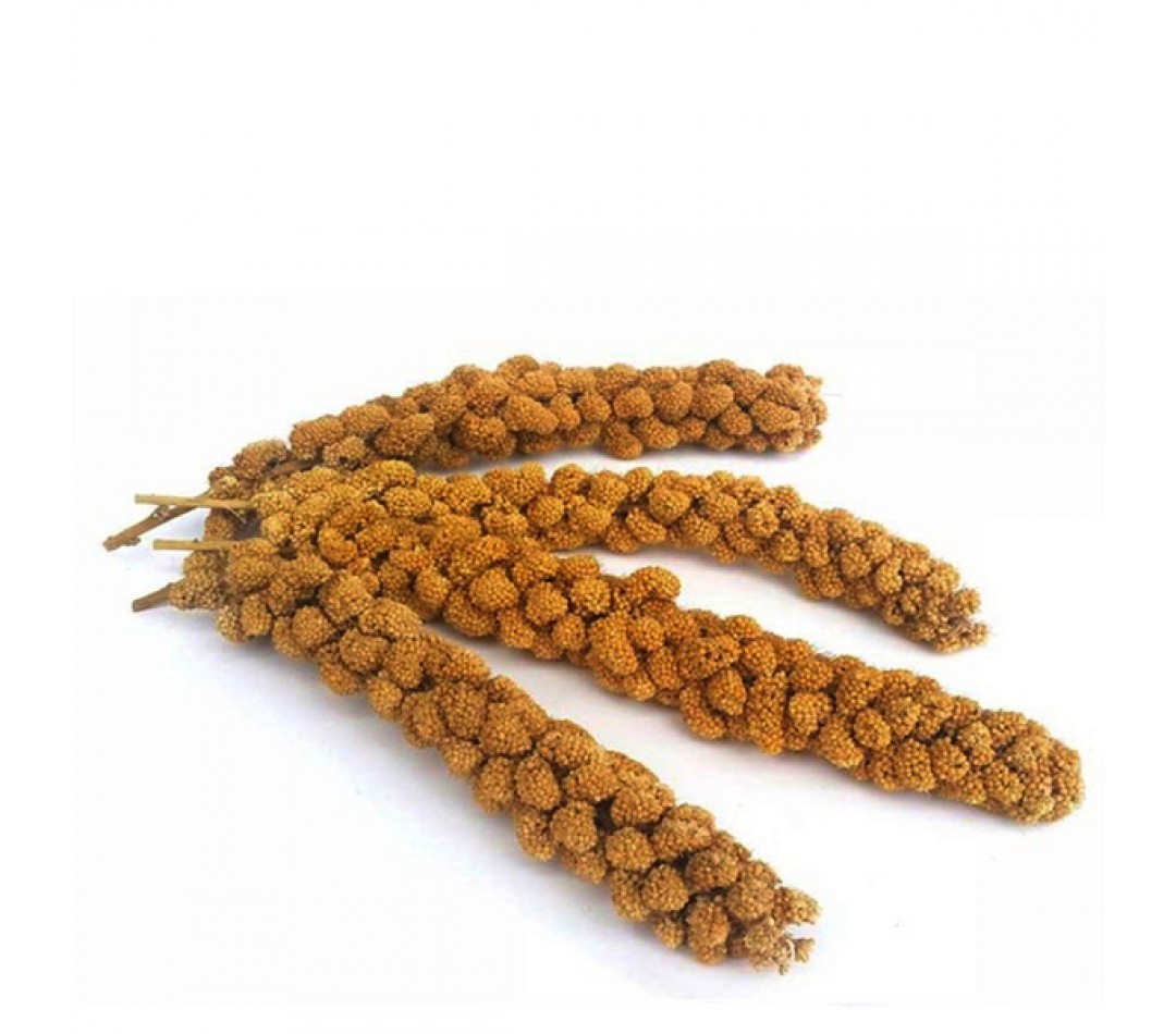 Quik Dal Darı 5'li Paket