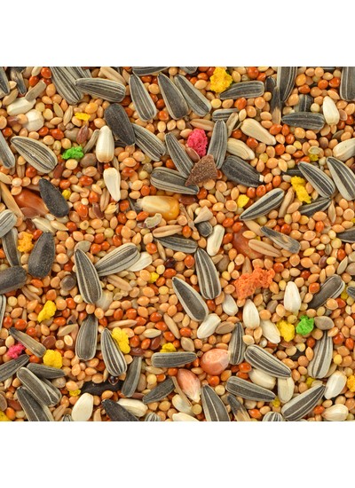 Jungle Paraket Yemi 500 gr