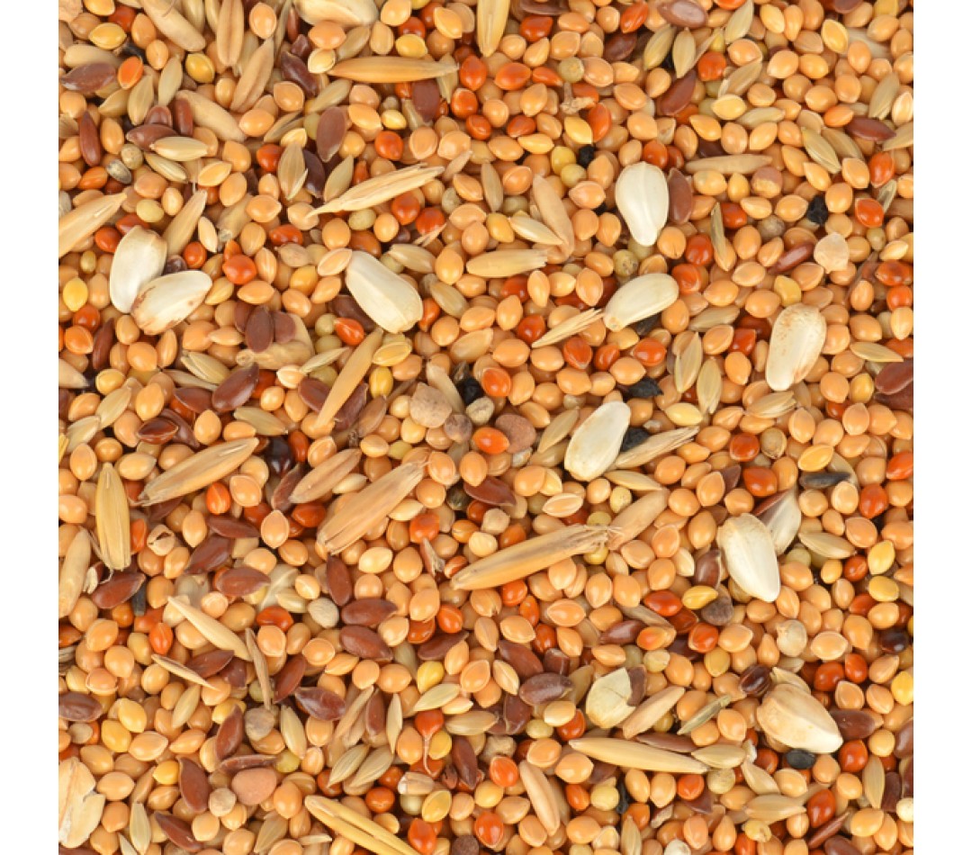 Quik Kızıştırıcı Yem 150 gr