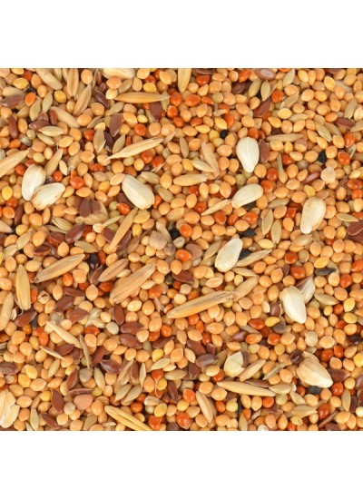 Quik Kızıştırıcı Yem 150 gr 12'li