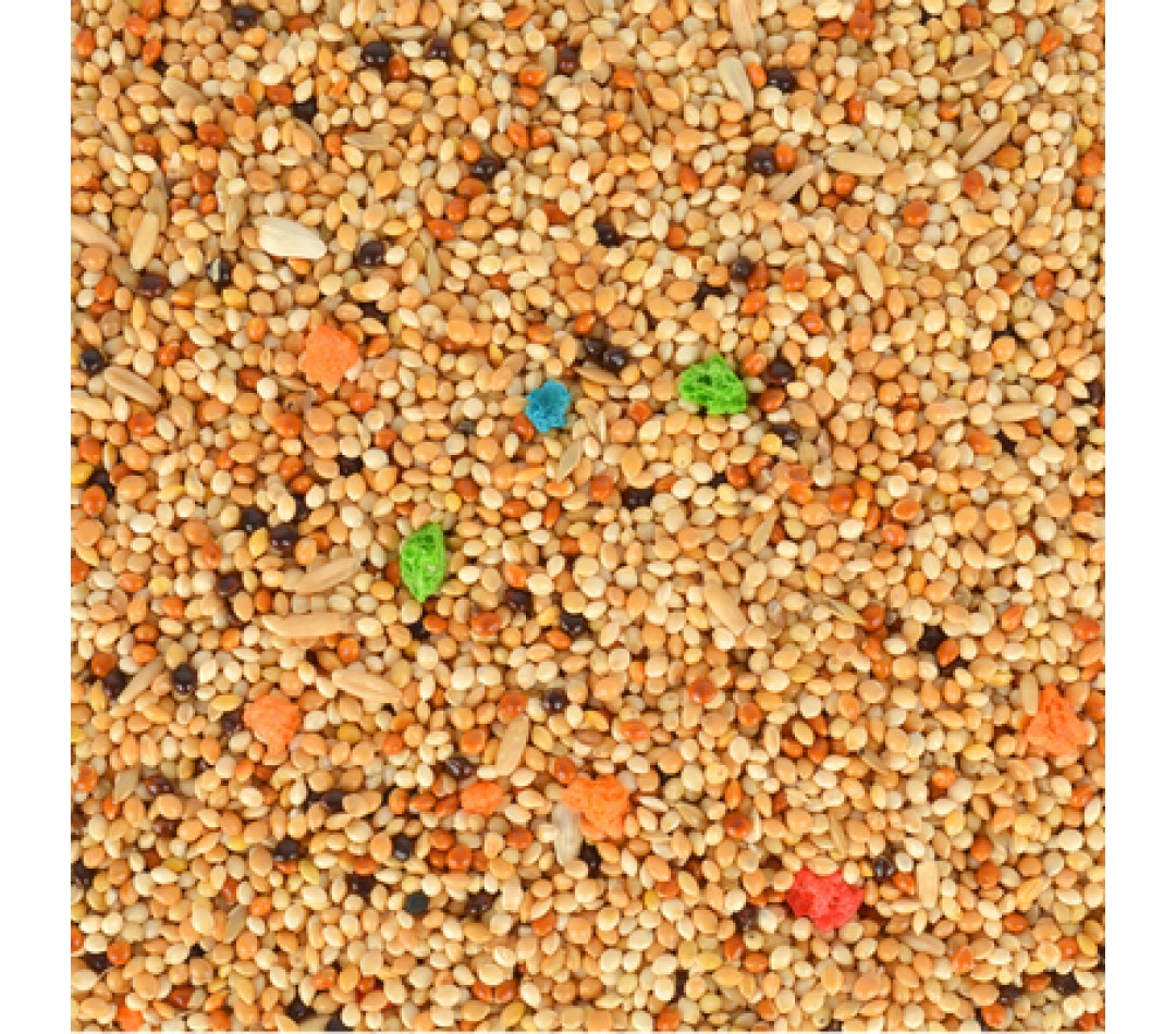 Q100 Meyveli Lüx Muhabbet Yemi 20 kg