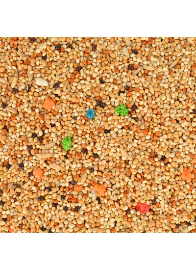 Q100 Meyveli Lüx Muhabbet Yemi 20 kg