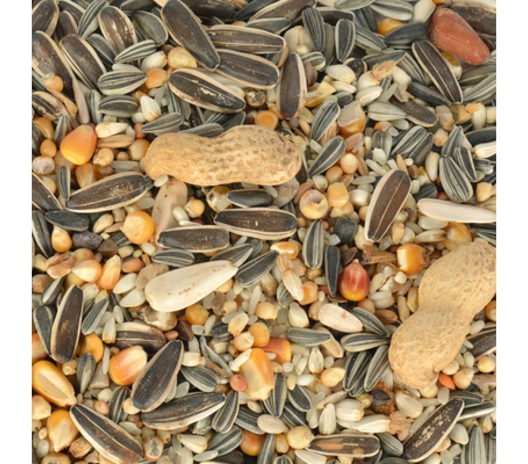 Jungle Papağan Yemi 500 gr