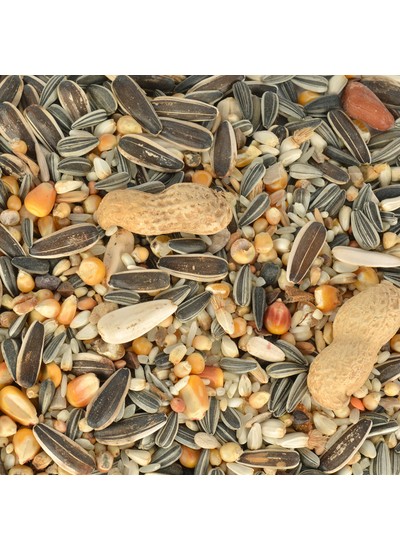 Jungle Papağan Yemi 500 gr