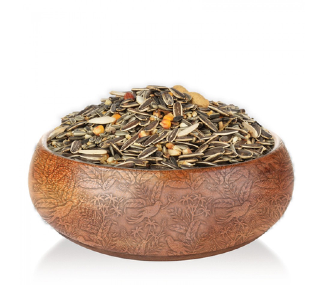 Quik Papağan Yemi 700 gr