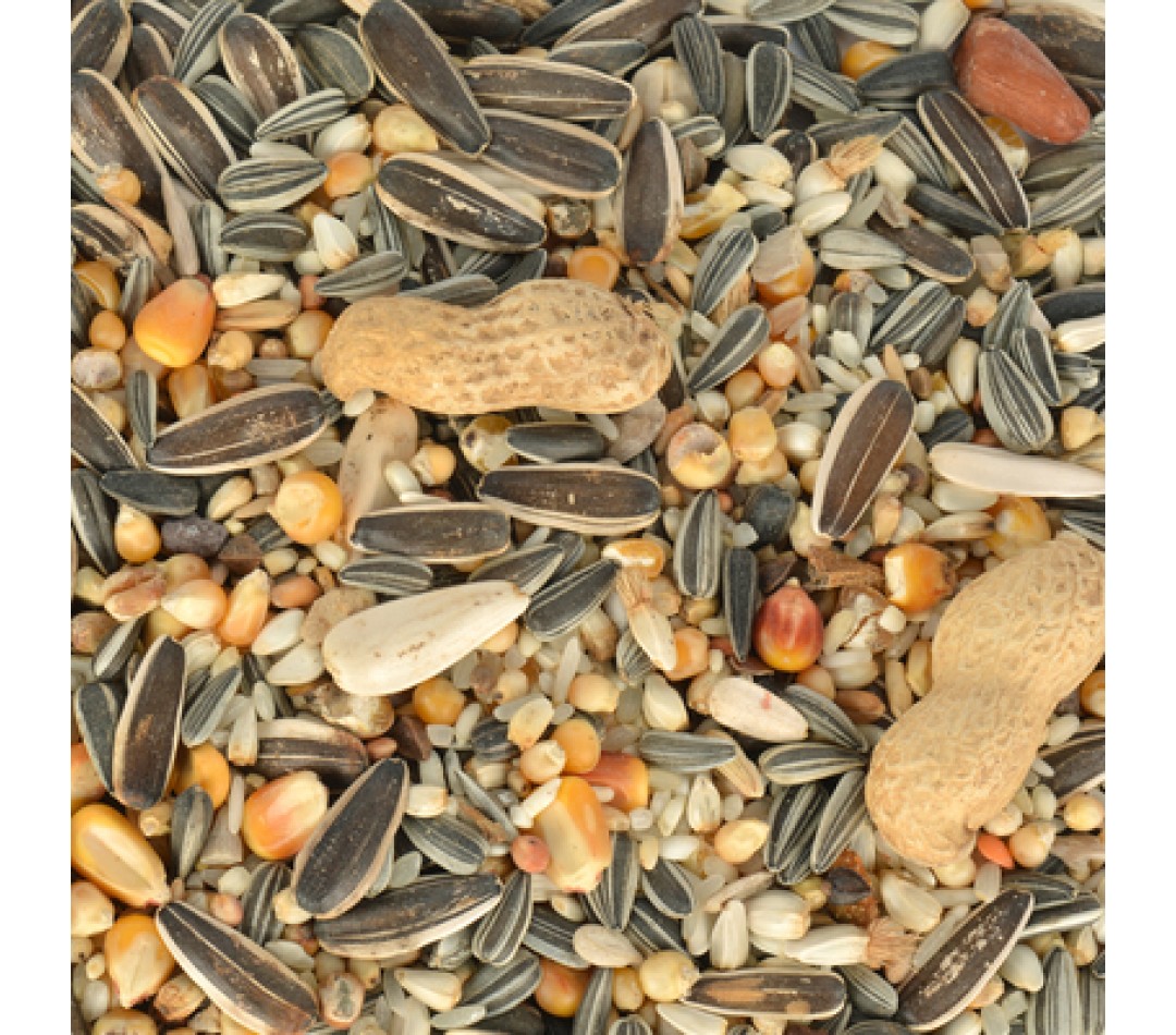 Quik Papağan Yemi 700 gr