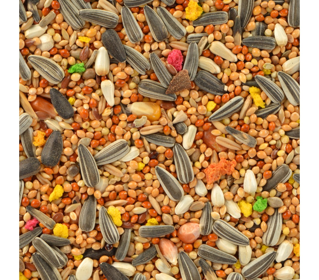 Quik Paraket Yemi 750 gr