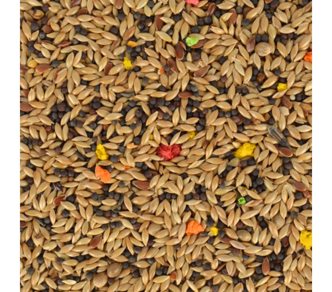 Quik Kanarya Yemi 500 gr