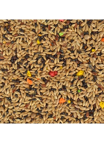 Quik Kanarya Yemi 500 gr