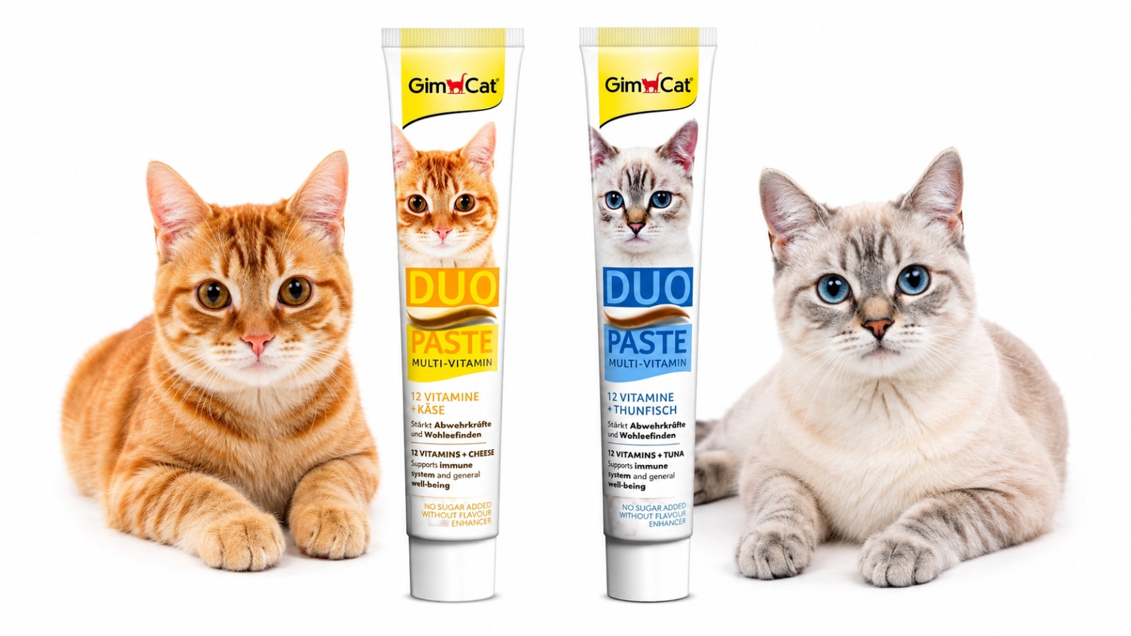 Kedi Vitamin