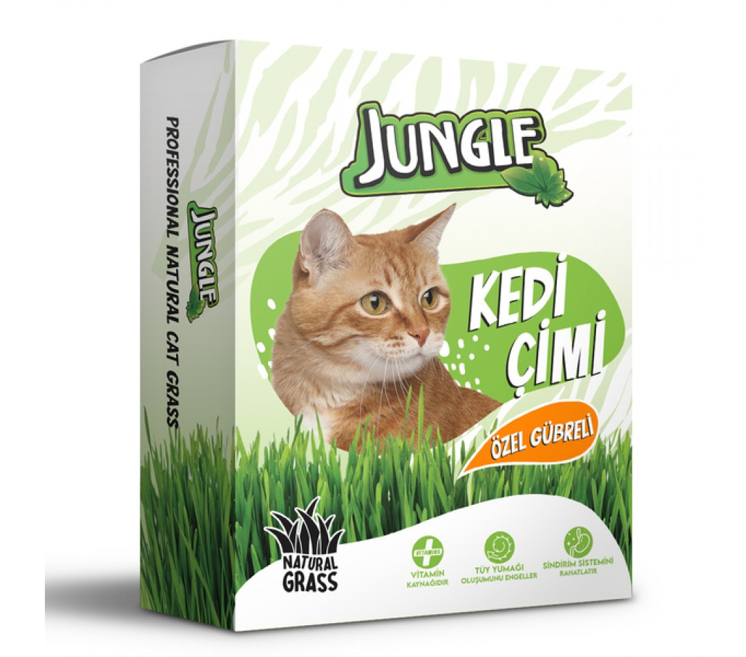 Jungle Kedi Çimi Kutulu