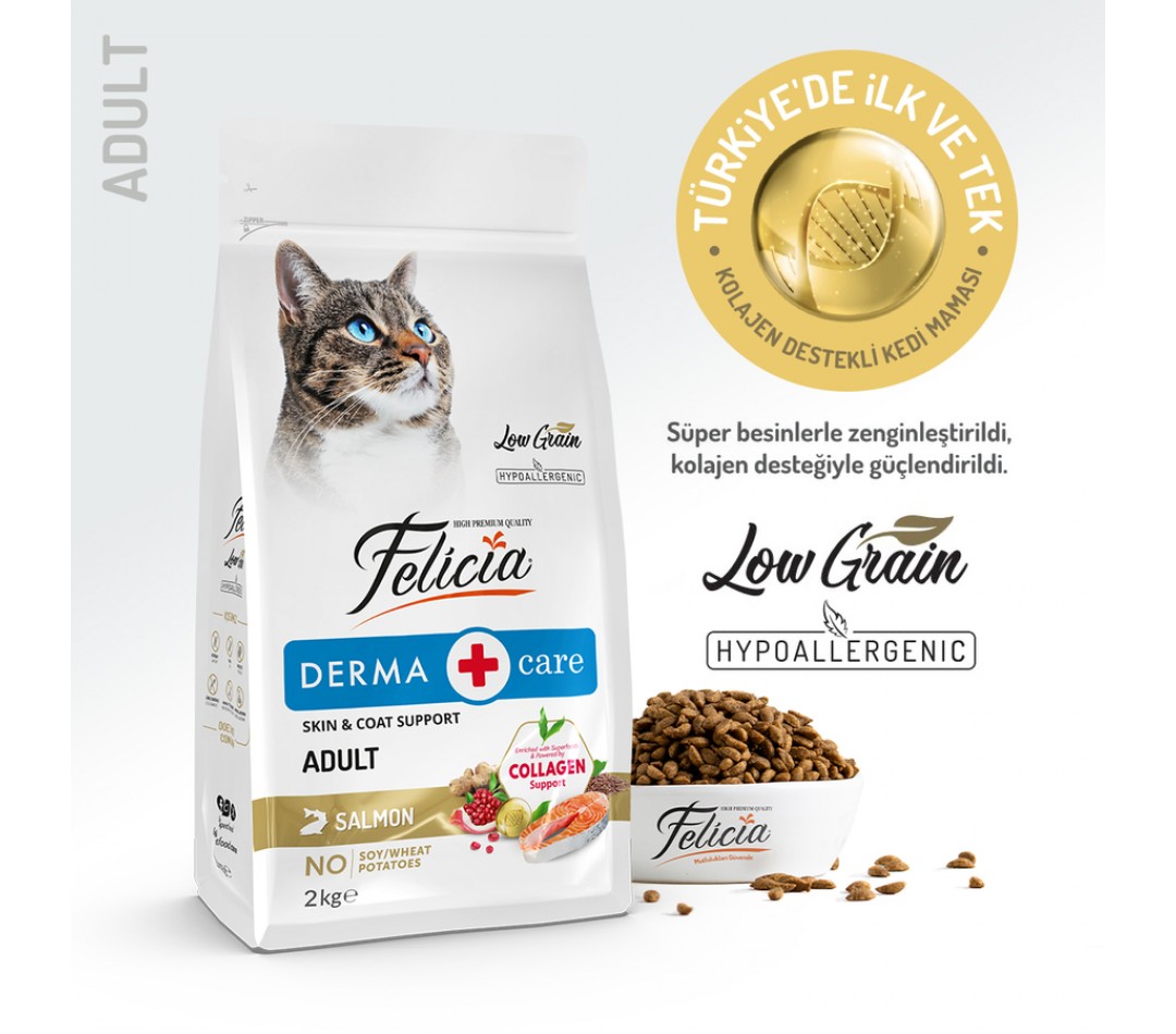 Felicia 2 Kg Kolajenli Somonlu Az Tahıllı Yetişkin Kedi Maması HypoAllergenic Kedi Maması