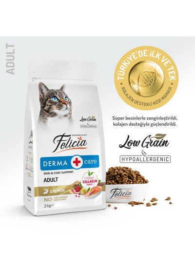 Felicia 2 Kg Kolajenli Somonlu Az Tahıllı Yetişkin Kedi Maması HypoAllergenic Kedi Maması