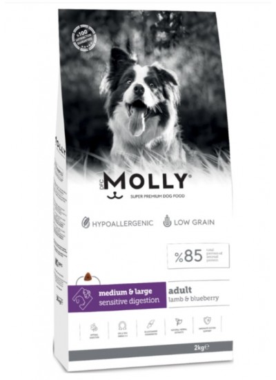 Molly Medium Large Adult Kuzu Etli Yaban Mersinli Yetişkin Köpek Maması 2kg