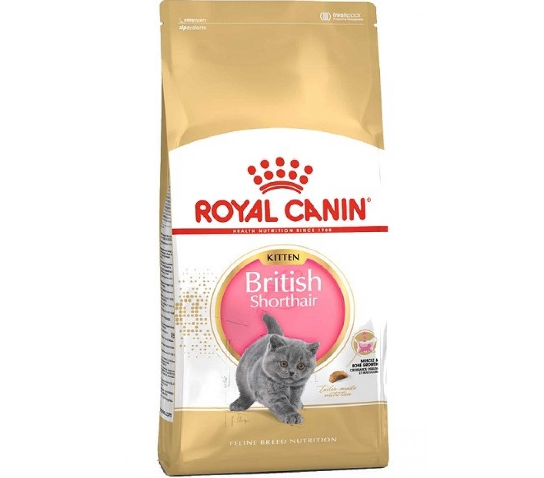 Royal Canin British Shorthair Kitten Yavru Kedi Maması 2 Kg