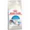 Royal Canin İndoor Home Life Adult Kedi Maması 2 Kg
