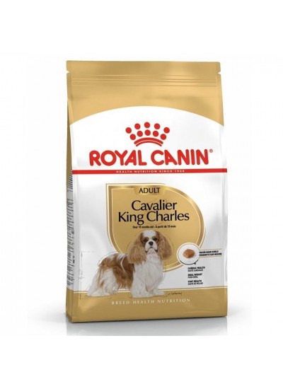 Royal Canin Cavalier King Charles 27 Yetişkin Köpek Maması 1,5 Kg