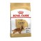 Royal Canin Cocker Adult Köpek Maması 3 Kg