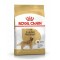 Royal Canin Golden Retriever Yetişkin Köpek Maması 12 Kg