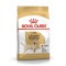 Royal Canin Labrador Retriever Yetişkin Köpek Maması 12 Kg