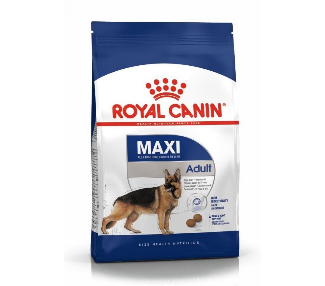 Royal Canin Maxi Adult Büyük Irk Yetişkin Köpek Maması 15 Kg