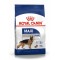 Royal Canin Maxi Adult Büyük Irk Yetişkin Köpek Maması 15 Kg