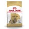 Royal Canin Shih Tzu Adult Köpek Maması 1.5 Kg