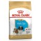Royal Canin Shih Tzu Puppy Yavru Köpek Maması 1.5 Kg