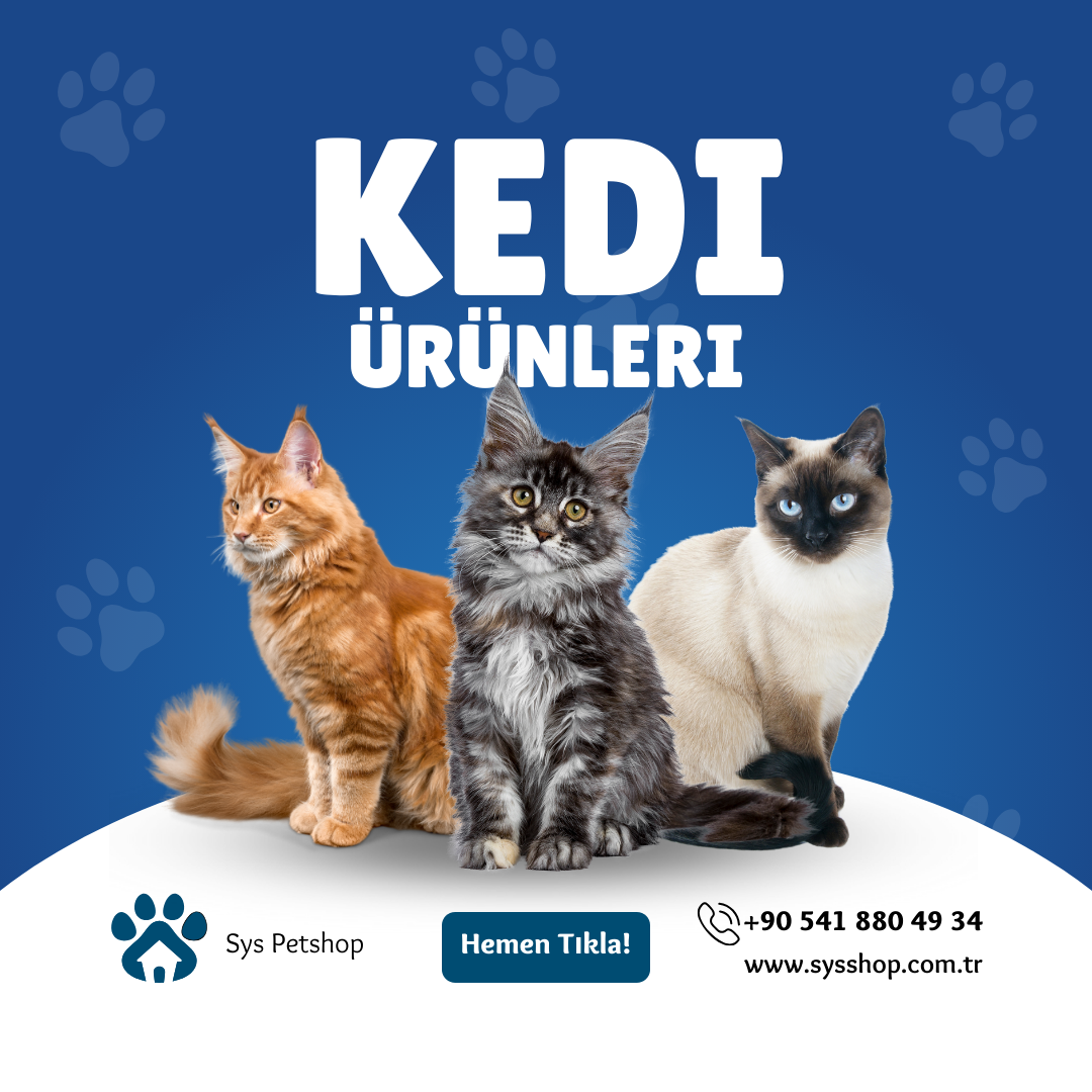 buyukcekmecepetshop