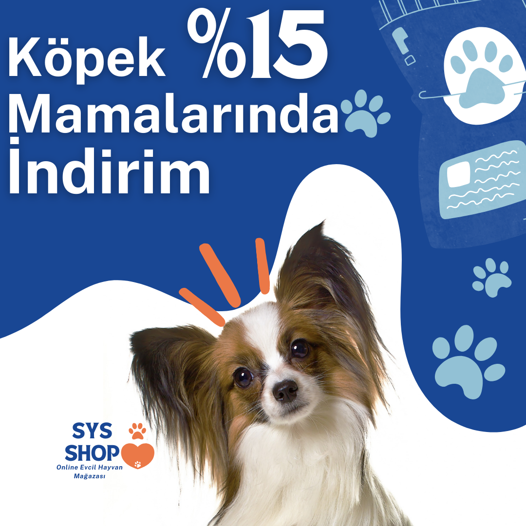 avcılarpetshop